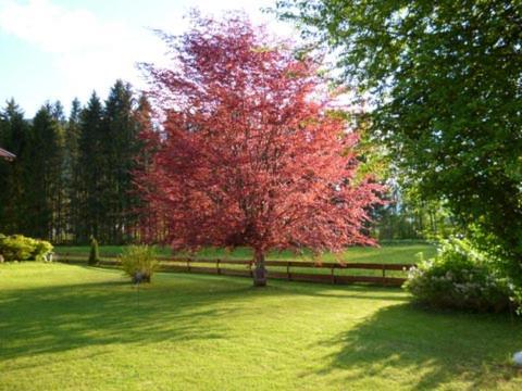Villa Am Bach Unterwössen Exteriör bild